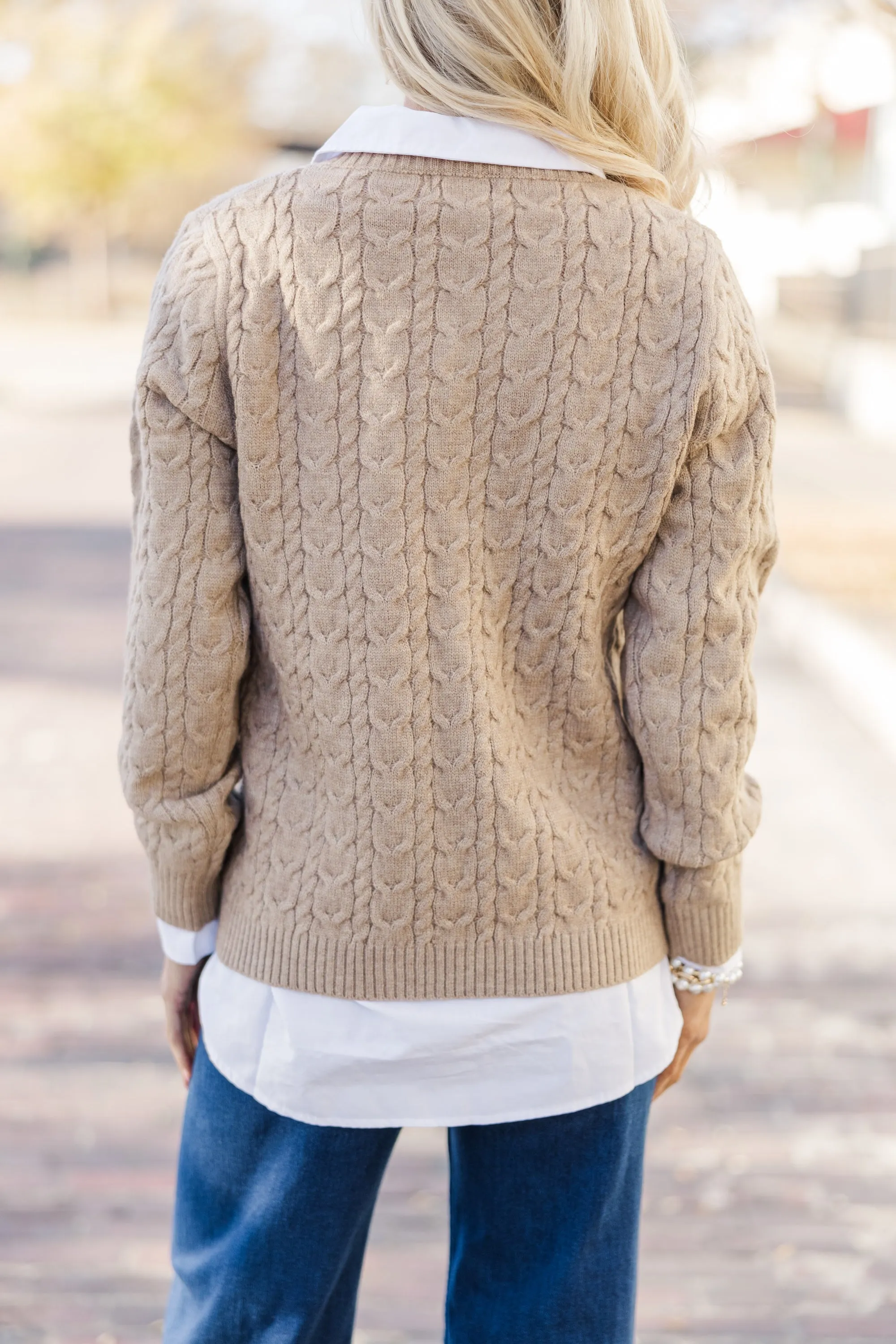 Can't Forget Taupe Dachshund Cable Knit Sweater