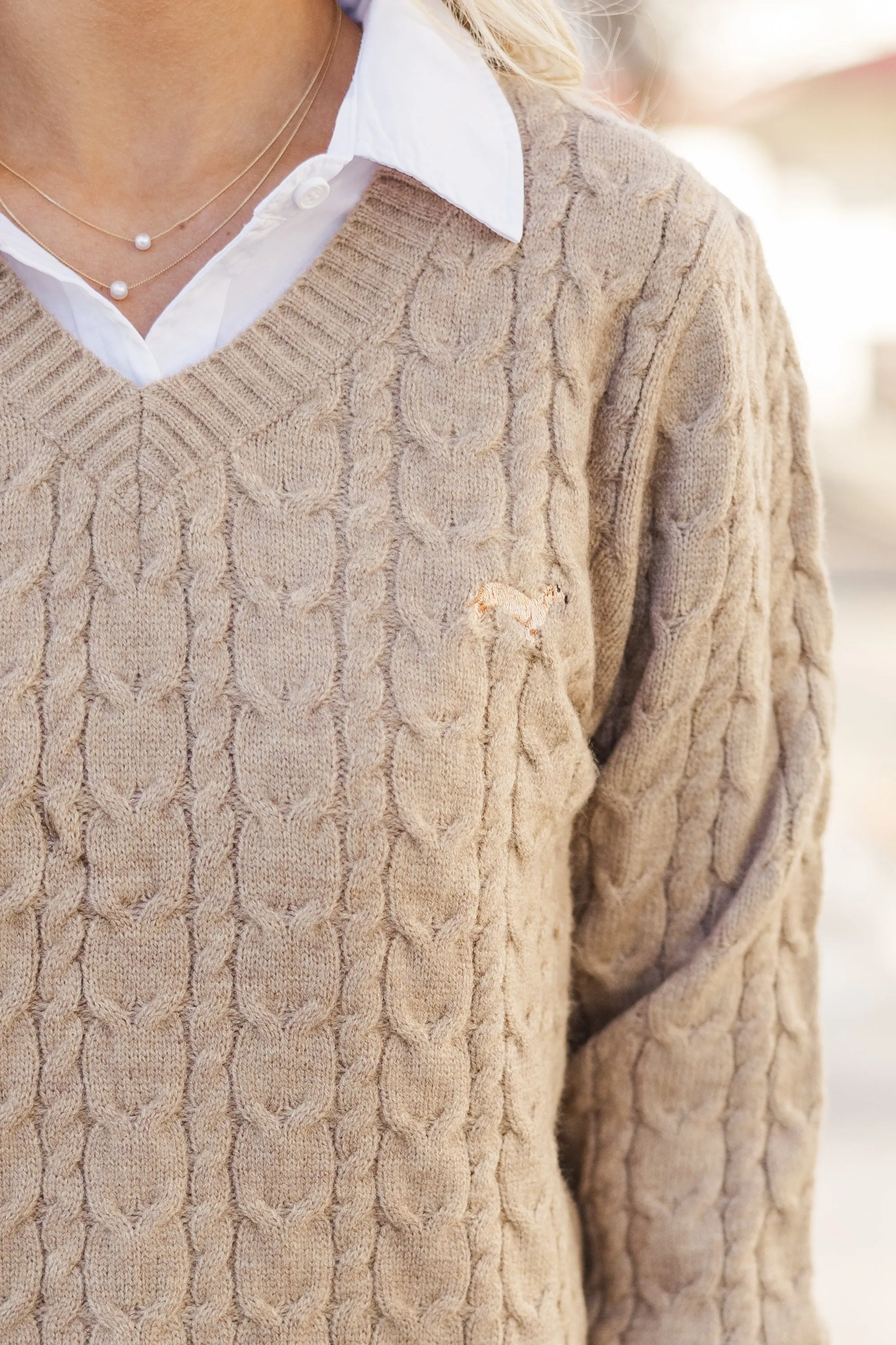 Can't Forget Taupe Dachshund Cable Knit Sweater