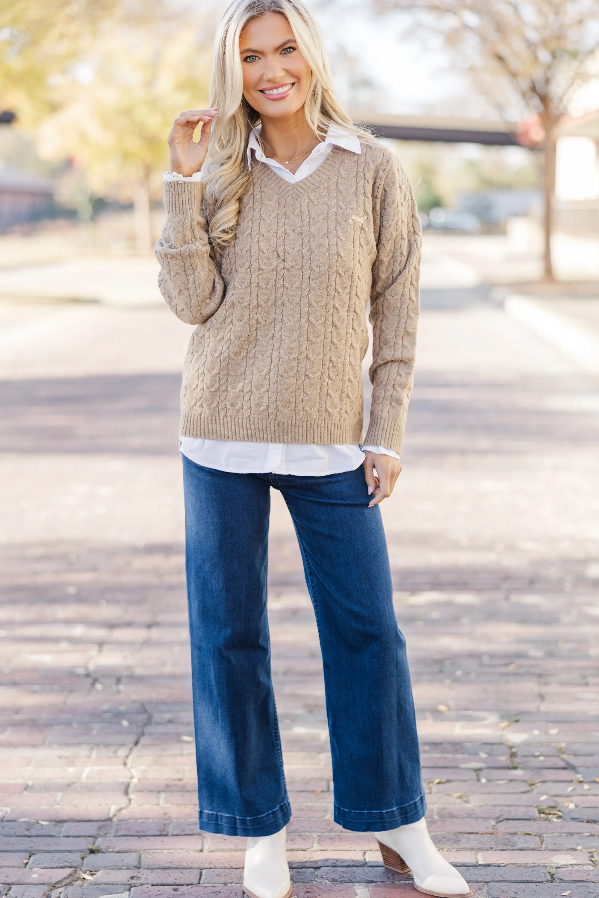 Can't Forget Taupe Dachshund Cable Knit Sweater