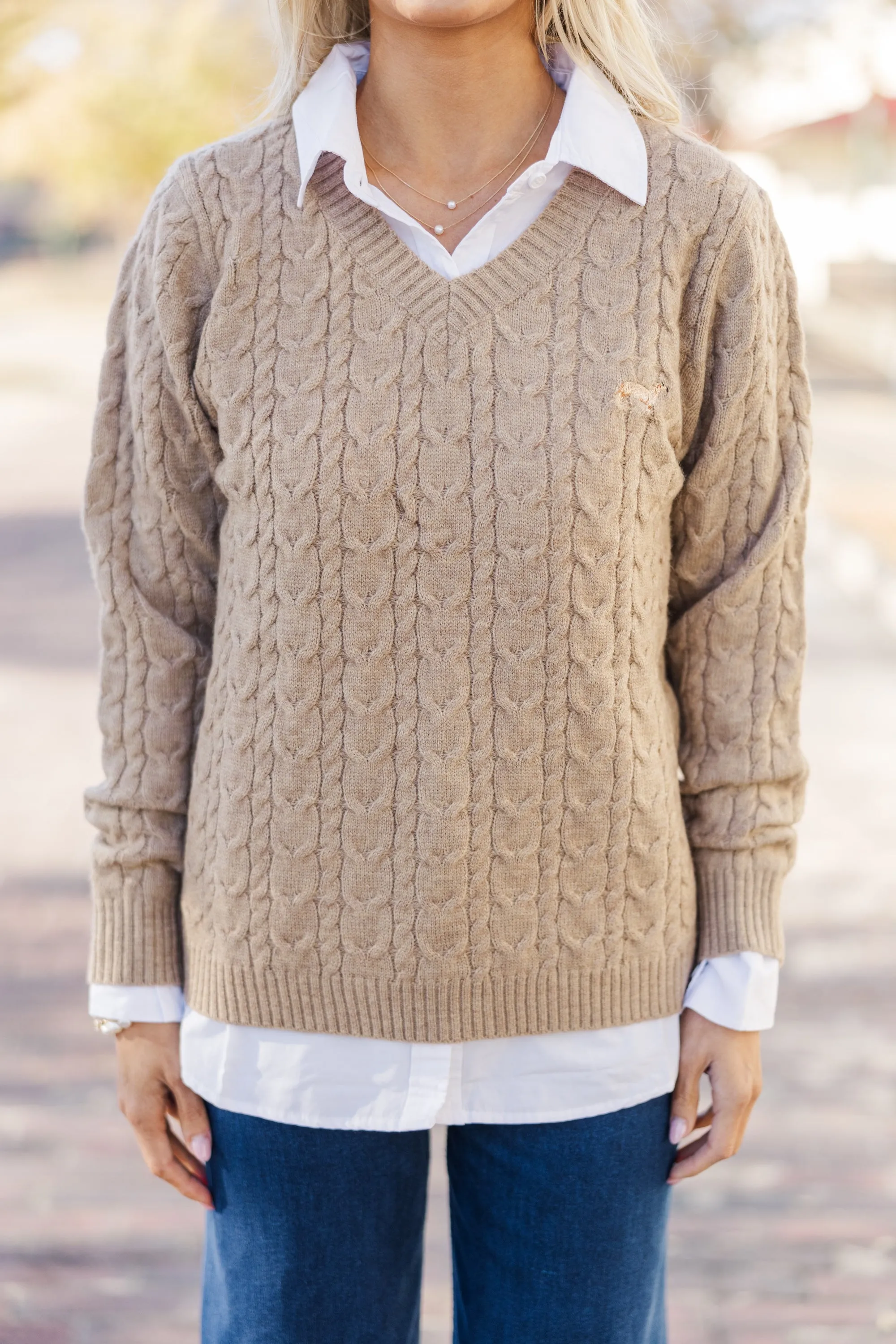 Can't Forget Taupe Dachshund Cable Knit Sweater