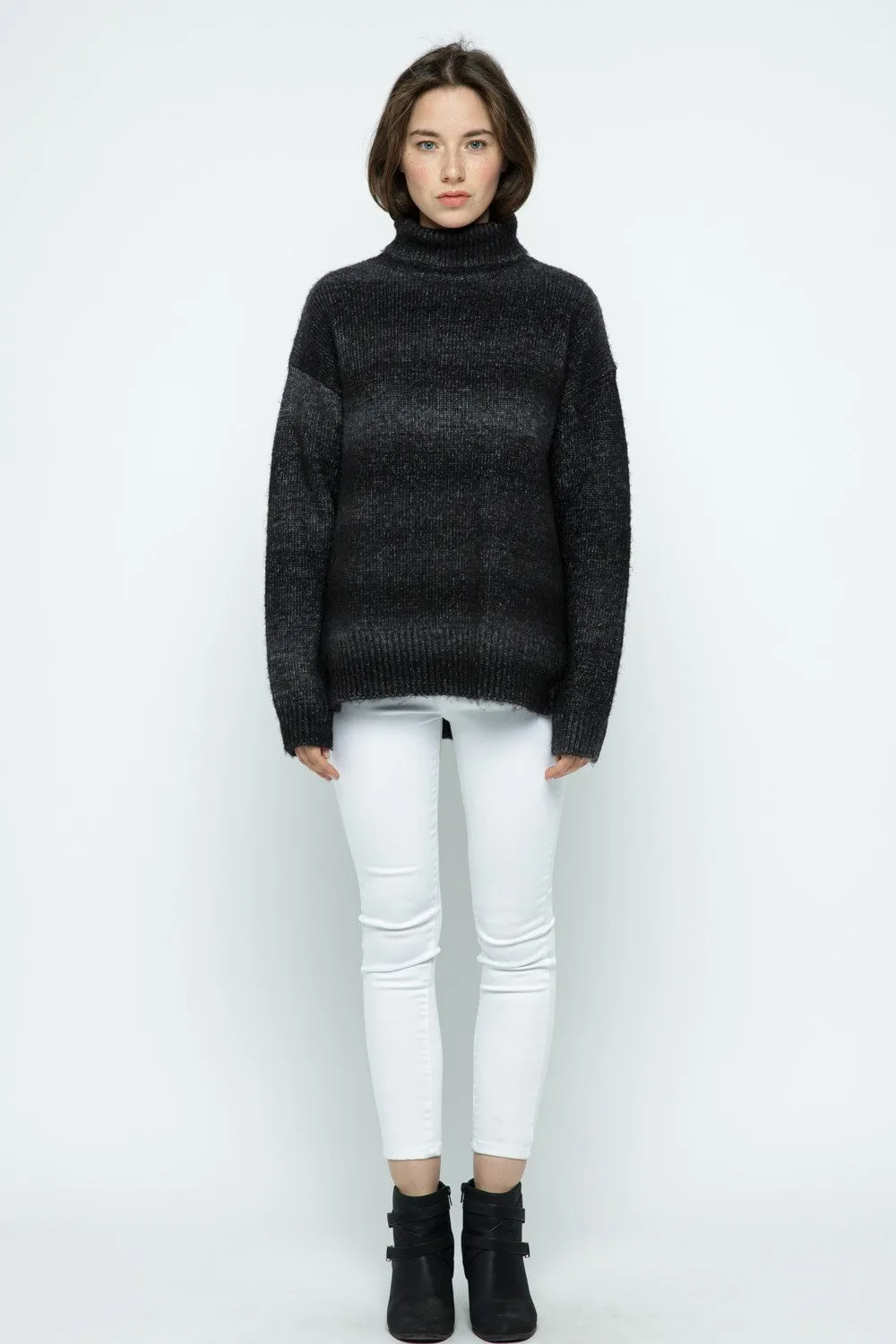 OMBRE STRIPE TURTLENECK SWEATER