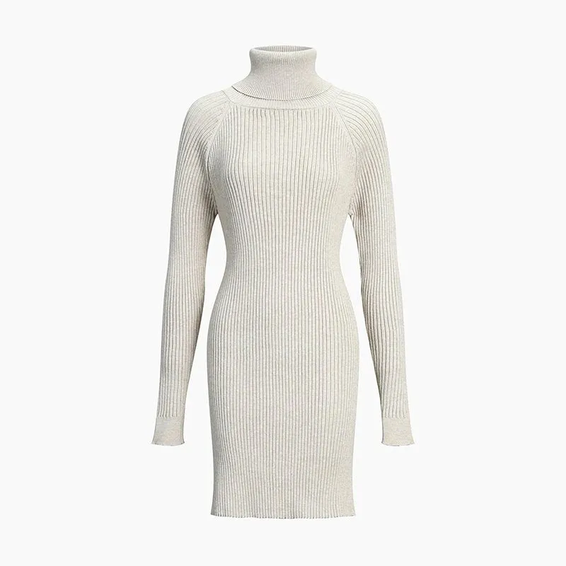 Ribbed Turtleneck Sweater Dress