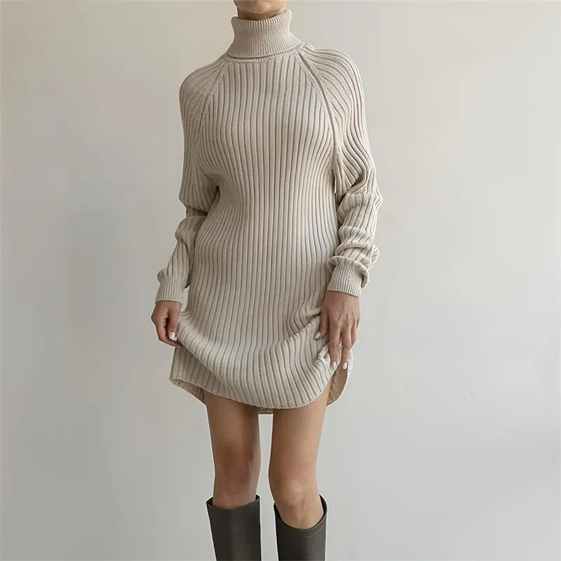 Ribbed Turtleneck Sweater Dress